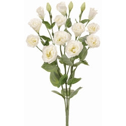 Permanent Cream/White Lisianthus Bush