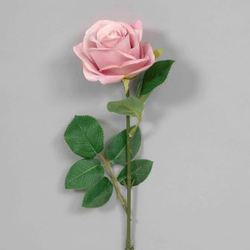 Pink Rose Stem