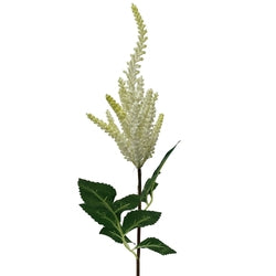 White/Cream Garden Astilbe Spray