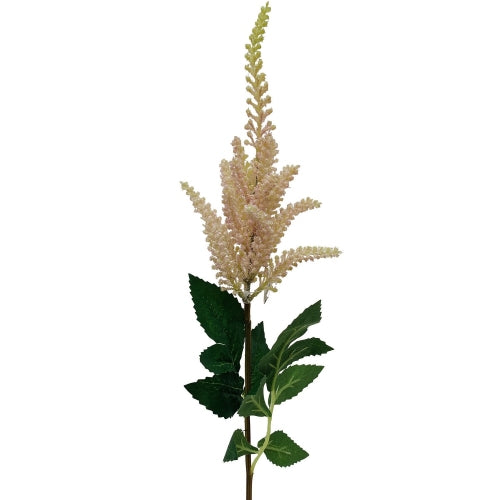 Pink Astilbe Garden Stem