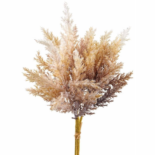 Beige Mix Pampas Grass Bundle