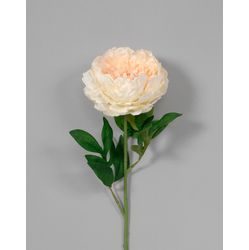 Real Touch White/Cream Peony Spray