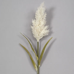 Cream Pampas Stem or Bundle