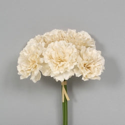 Ivory Carnation Bundle