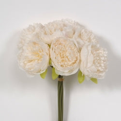 Cream Peony Bundle