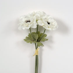 Cream Anemone Bundle