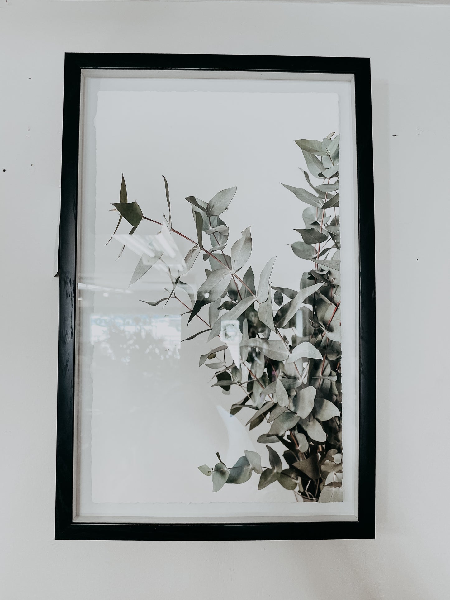 Eucalyptus Wall Art