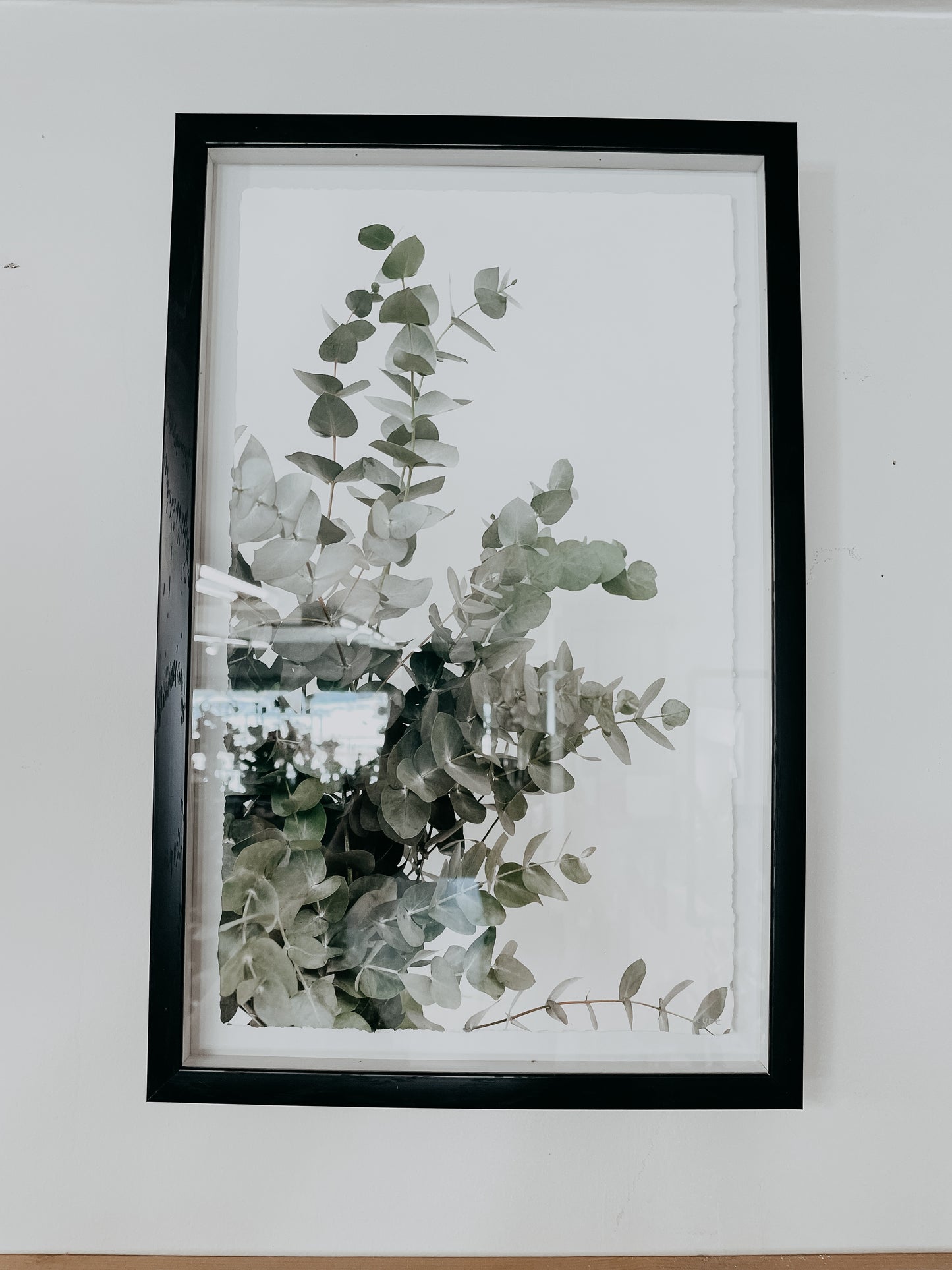 Eucalyptus Wall Art