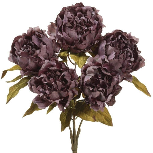 Antiqued Purple Peony Bush