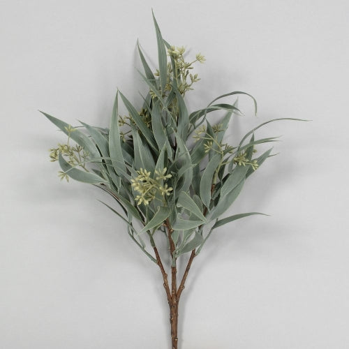 Eucalyptus Bush- Seeded Willow